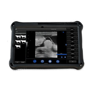 LHWBS100 Système d'ultrasons vétérinaire sans fil Bovin Cheval Âne Vet Sonde rectale à ultrasons avec moniteur de tablette - Product Image 2