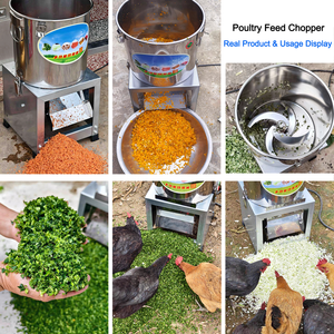 Piccolo Trituratore per Mangime per Polli in Acciaio Inox, Processore di Foraggio e Erba per Allevamenti Avicoli, Rimovibile e Facile da Pulire - Product Image 2