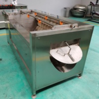 Automatische Rode Dadels Palmreinigingsmachine Rolborstel Groente Reinigingsmachine