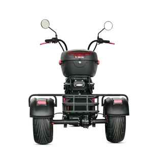 Scooter électrique à 3 roues Loyal, GPS, pliable, étanche, <span class=keywords><strong>batterie</strong></span> au lithium 2000W/3000W/4000W Citycoco - Product Image 2
