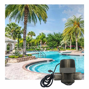 Không có hóa chất đại lý Muối hồ bơi chlorinator, cho mùa xuân nóng, hồ bơi điện thêm muối để sản xuất Clo - Product Image 6