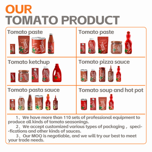 Pâte <span class=keywords><strong>de</strong></span> tomate 24-26% Sachet plat Sachet debout 50g 56g 70g 1kg Variété Pack avec emballage en vrac/bouteille/tambour/sac/boîte - Product Image 4