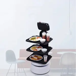 Segway künstliche Intelligenz KI automatischer Kochroboter kommerzielle Verwendung für Restaurant arbeitsersparend und effizienter