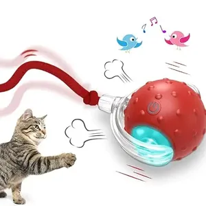工厂批发互动猫玩具球室内猫在地毯上快速滚动，鸣叫和运动激活猫玩具