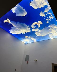 LeArt Manufacturer Fabric <strong>Lighting</strong> <strong>Diffuser</strong> Pvc Stretch Translucent Satin Sky Ceiling Price - Product Image 1