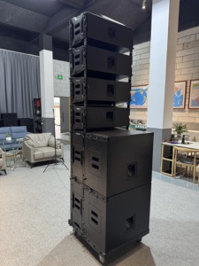 Loa array đôi 10 inch tích hợp crossover, loa chuyên nghiệp toàn dải tần cho sân khấu trong nhà - Product Image 6