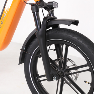 Ogni terreno Fatbike 20*3.0 pneumatici sospensione forcella 48 v15ah batteria freni idraulici <span class=keywords><strong>Cargo</strong></span> elettrico <span class=keywords><strong>bicicletta</strong></span> - Product Image 5