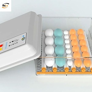 Công suất nhỏ nhựa gia cầm trứng lồng ấp và nở máy cho gà chăm sóc Thương hiệu mới - Product Image 6