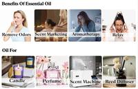 Huile essentielle sans eau durable d'huile d'arome de diffuseur de parfum floral d'hôtel de luxe pour la machine de parfum