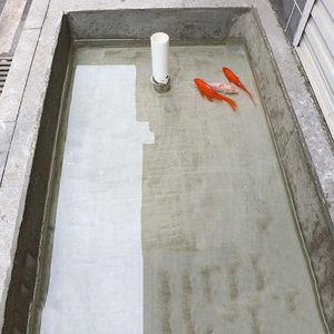 Warehouse Clearance Price Eco Friendly Strong Adhesion PU Polyurethane Elastomer Coating for Swimming <b>Pool</b> - Product Image 6