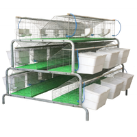 Structure en fer galvanisé pour l'élevage intensif de lapins en cage industrielle