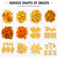 Ligne de production de snacks en granulés pour les chips Fryums Slanty et équipement de fabrication de snacks en granulés 2D 3D pour les usines alimentaires