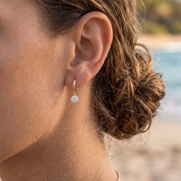 Boucles d'oreilles clous personnalisées en argent sterling 925 plaqué or véritable, avec fruits en oxyde de zirconium à dos plat : pastèque, cerise, raisin, ananas