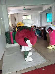 Efun MOQ 1 PC divertido caminar <span class=keywords><strong>tomate</strong></span> mascota <span class=keywords><strong>disfraz</strong></span> adulto dibujos animados fruta personaje <span class=keywords><strong>disfraz</strong></span> para la venta - Product Image 3