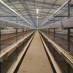 Nouvelle cage à poules automatique à installation facile, <span class=keywords><strong>type</strong></span> batterie, en acier galvanisé à chaud, durée de vie supérieure à 18 ans, pour l'élevage - Product Image 1
