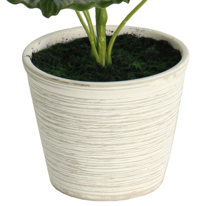 กระถางดินประดับต้น<span class=keywords><strong>บอน</strong></span>ไซขนาดเล็ก34cmH สำหรับตกแต่งภายในต้นไม้ประดิษฐ์ - Product Image 4