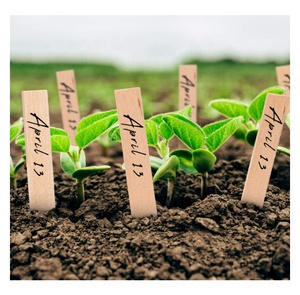 Étiquettes personnalisées en bois pour plantes, 100 pièces, pour herbes, fleurs, légumes, plantes décoratives, plantes en pot, marqueurs <span class=keywords><strong>de</strong></span> jardin - Product Image 1
