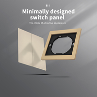 Interruptores y Enchufes de Pared WESA Ultrafinos con Botón Pulsador EU 1/2/3 Vías, Enchufe de Alimentación de 1 Vía, Combinación Libre, Diseño Moderno de Lujo