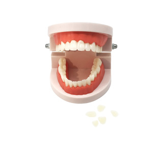 Modelo de Dientes para Práctica de Carillas Dentales, Restauración Estética Oral, Kit de Práctica de Carillas Totalmente Cerámicas (Modelo + 16 Carillas) - Product Image 3