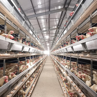 Projet clé en main personnalisé pour 30 000 poulets reproducteurs, aménagement ajustable de la poulailler, élevage avicole entièrement automatique