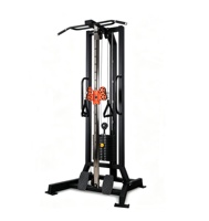 Équipement de musculation à domicile - Machine à flys unilatérale en acier, traction haute intensité, rameur multifonctionnel, capacité de charge 500 kg, polyvalent et complet