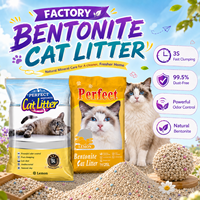 Litière pour chats en bentonite de qualité commerciale Arena Sanitaria 5L 25L, contrôle des odeurs pour les animaleries