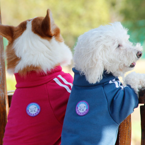 Sudadera con capucha estilo campus para perros, azul y rojo retro, deportiva y moderna, ropa para mascotas para todas las estaciones, para Teddy, Bichón, Schnauzer, Corgi - Product Image 2