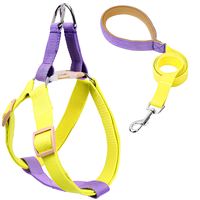 Harnais et laisse pour chien en polycoton coloré effet arc-en-ciel, style gilet anti-évasion, vente en gros d'usine, produit phare