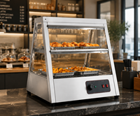 Vitrine chauffante électrique professionnelle avec économie d'énergie, couleur argent, capacité 2x2 bacs, pour buffets et événements de restauration