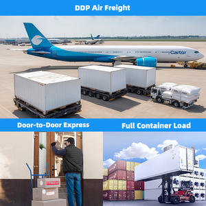 Servicios de puerta Logística Paquete Ddp China Envío internacional Agente de transporte de carga a EE. UU. Estados Unidos Canadá - Product Image 5