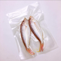 1kg 2.5kg 5 kg 10 kg Sac à riz portable de qualité alimentaire en nylon épais transparent à fond plat avec poignée en plastique