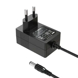 Delta Electronics Power Adapter 0.5A 24W Desktop BIS Wall CCC 12V Wholesale Supply Factory Smart