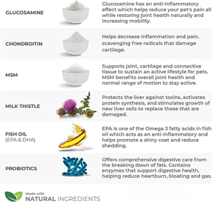 OEM 10 in 1มัลติฟังก์ชั่นวิตามิน-กลูโคซามีนสำหรับสุนัข-มิลค์ทิสเทิลสำหรับสุนัข-โอเมก้า3- MSM-โปรไบโอติกและเอนไซม์ - Product Image 5