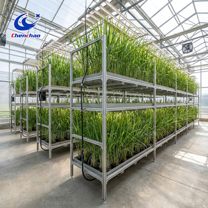 Commercial Grade Automated Ebb and Flow System with Vertical Multi-layer Design for Large Scale Greenhouse System <strong>Plan</strong> <strong>Pro</strong> - Product Image 3