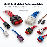 Harnais de câblage automobile personnalisé IATF16949, OEM ODM, assemblage de câbles tout-en-un, terminaux JST/TE/Molex/HRS/JAE/HARTing, usine