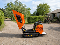 Mini-dumper hydraulique sur chenilles Antspower 2026 homologué CE, motorisé par un moteur à essence de 13,5 CV, capacité de charge de 600 kg