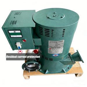 Générateur hydroélectrique 5000W monophasé 220V/110V et options triphasées 380V/400V, démarrage à faible couple, générateur hydroélectrique Pelton - Product Image 2