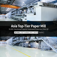 Papel de Color al por Mayor A4 100 Hojas |   Logotipo Personalizado de 120 g/m², 160 g/m², 200 g/m² para Oficina, Escuela, Directo de Fábrica