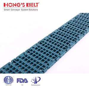 Hongsbelt F1000-84B-GB su ve meyve sıralayıcı plastik zincirli konveyör makinesi - Product Image 4