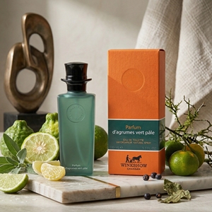<span class=keywords><strong>Profumo</strong></span> Spray al Citrus 100ml, Eau De Toilette di Lusso per Occasioni Formali, Etichetta Privata, OEM MOQ 100, <span class=keywords><strong>Profumo</strong></span> da <span class=keywords><strong>Donna</strong></span> - Product Image 1