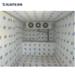 Thùng Lạnh Lạnh Di Động <span class=keywords><strong>20ft</strong></span> 40ft Phòng Đông Lạnh Bảo Quản Lạnh - Product Image 4