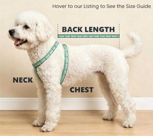 Chaleco Refrigerante Transpirable para Perros, Chaqueta Ligera con Protección Solar, Chaleco Refrigerante Suave para Mascotas, Alivio del Calor de Verano, Uso en Paseos y Entrenamientos al Aire Libre - Product Image 6