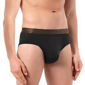 Comfort Bamboo Fabric <strong>Men's</strong> <strong>Briefs</strong> Soft Breathable Quick Dry Custom Bamboo Fiber <strong>Mens</strong> Underwear - Product Image 1