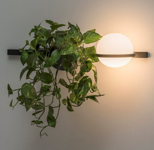 Lustre de restaurant moderne nordique rétro à plante verte, lampe de bar design à tête unique pour table à manger de café, style <span class=keywords><strong>Bauhaus</strong></span> long - Product Image 3