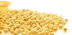 3 fase óleo <span class=keywords><strong>Lw355</strong></span> Decanter centrífuga para tratamento lodo - Product Image 6