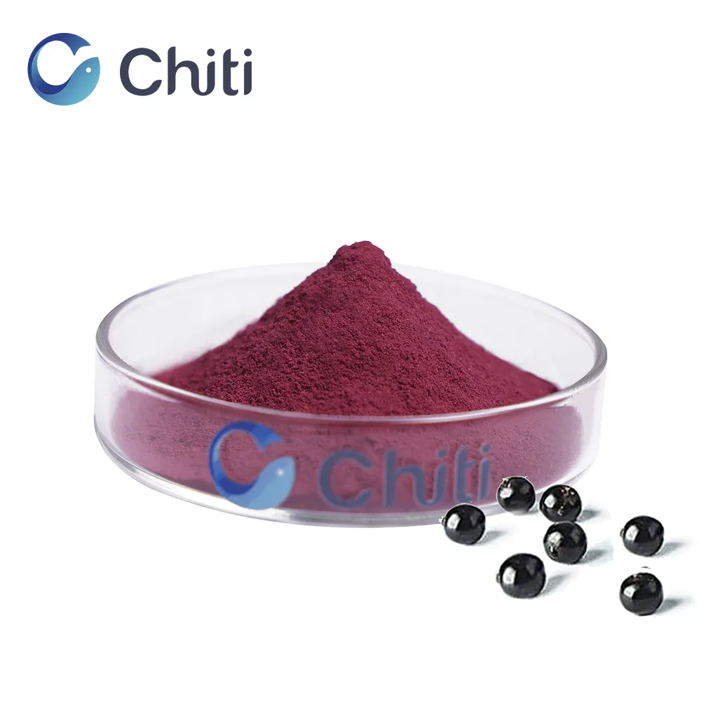 Chiti Biotech 공장 공급 Superfood Elderberry 추출물 높은 품질 Elderberry 분말 유기농 신뢰할 수있는 품질