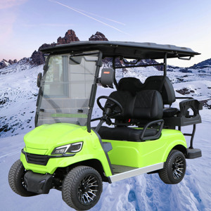 Autobús Turístico Chino y Carro de Golf de Acero de 6 Asientos - Product Image 1