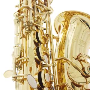 Saxofón Alto en Mi Bemol de Fábrica al por Mayor - Duradero para la Enseñanza y Exámenes en Escuelas de Música, Llave Ajustable para Adolescentes y Adultos - Product Image 6