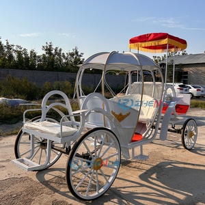 Customizable <b>White</b> Wedding Bridal Carriage Pumpkin Style Cinderella Princess Carriage Special Transportation for Weddings - Product Image 4