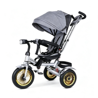 Poussette tricycle élégante pour bébé, en alliage d'aluminium, couleur personnalisée, auvent pliable, cadre léger, sécuritaire pour les enfants, capacité de charge de 15 kg